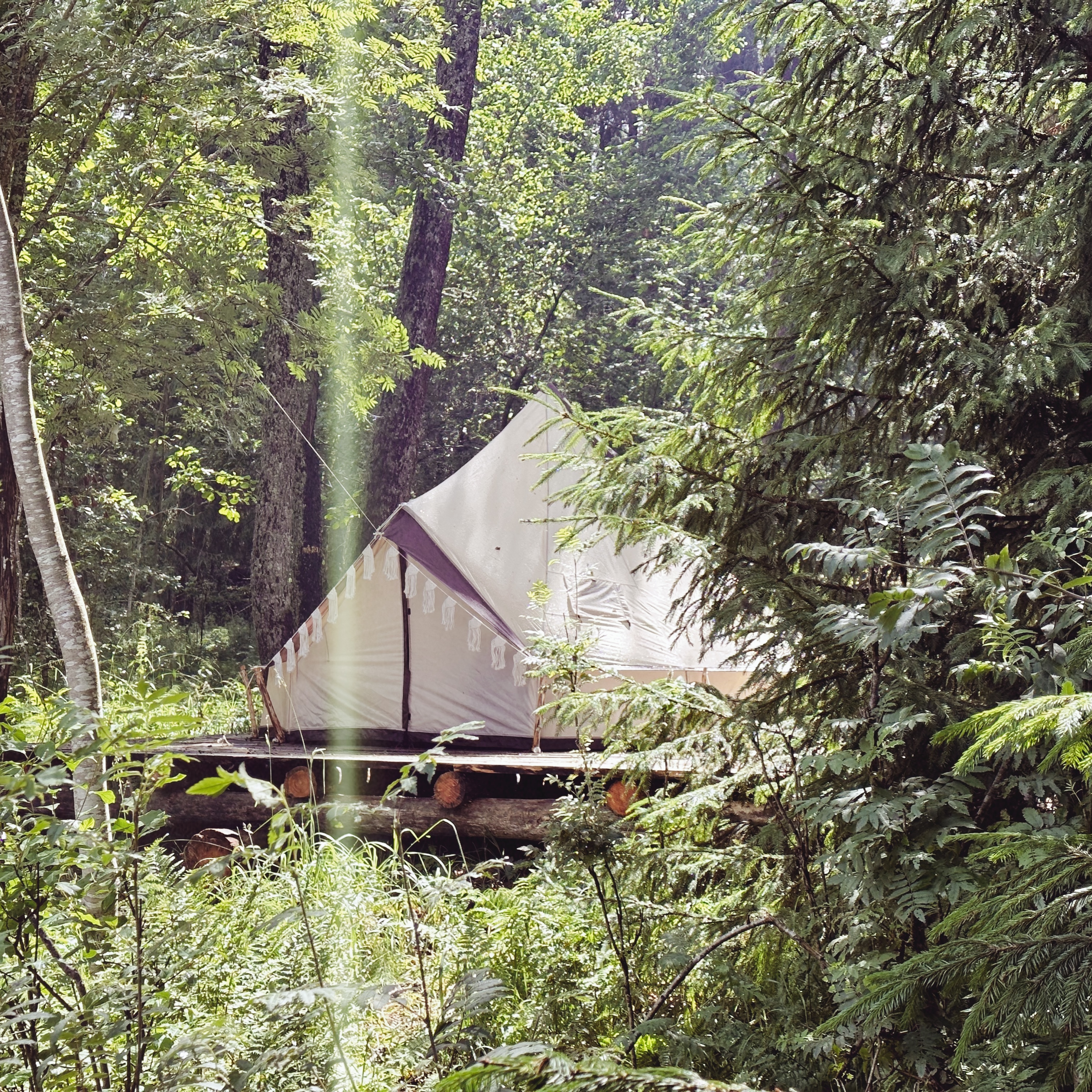 Глэмпинг Глушь