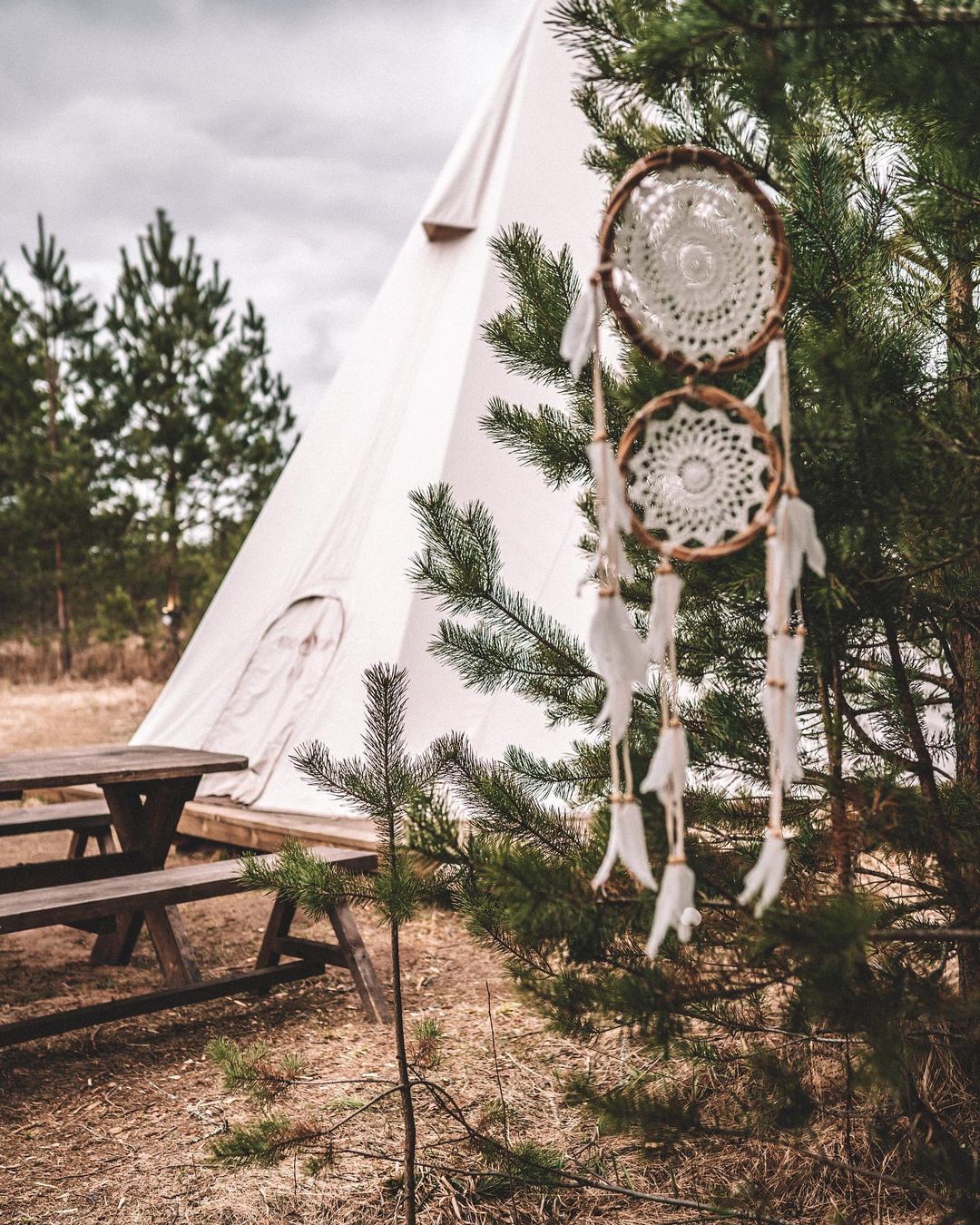 BOHO CAMP