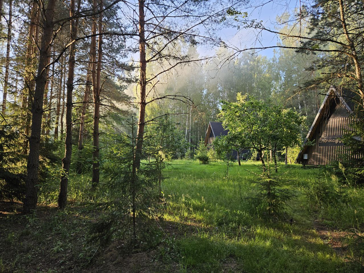 Проект "Под кронами"