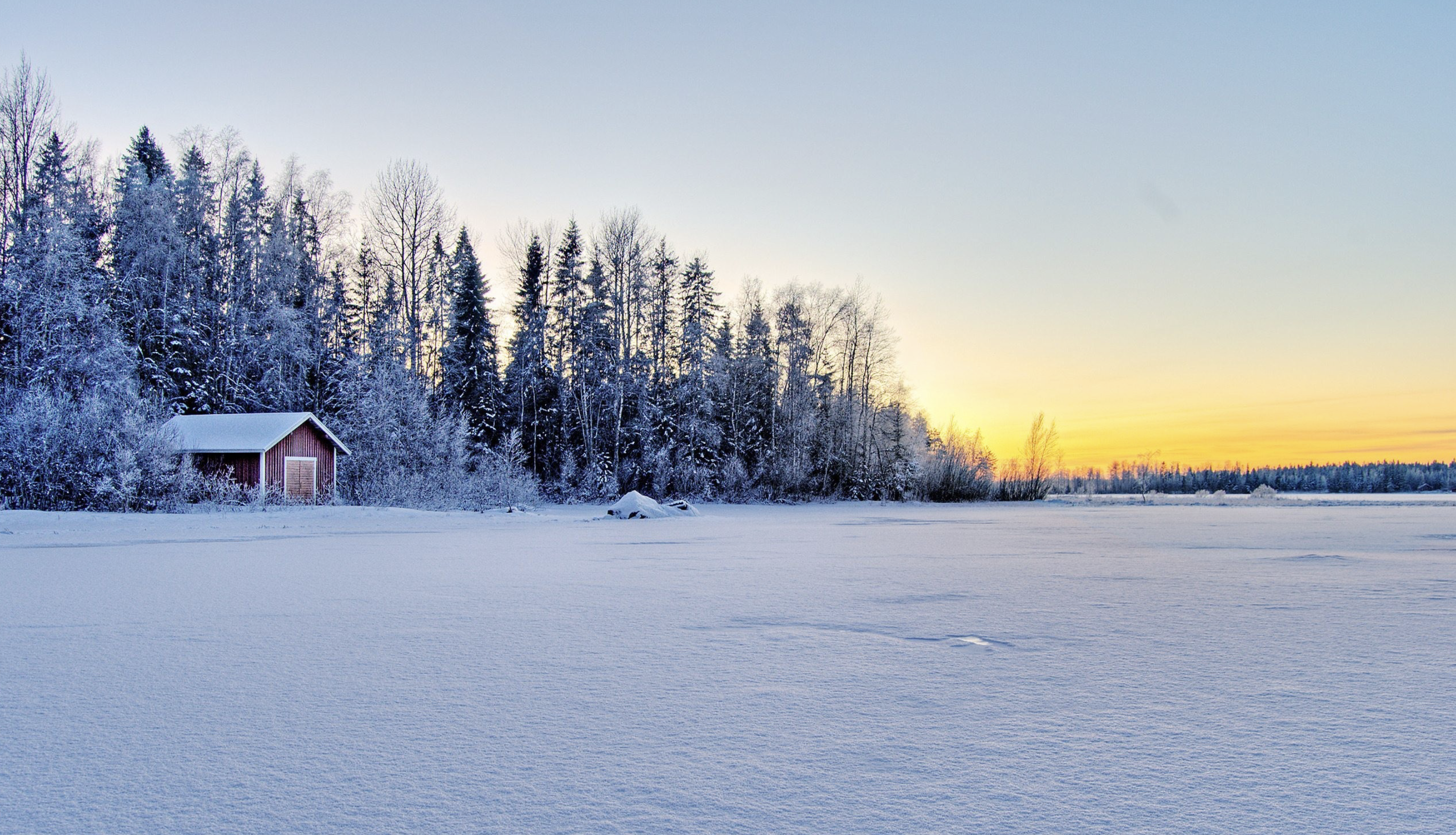 Глэмпинги Подмосковья до 50-ти км от МКАДа
