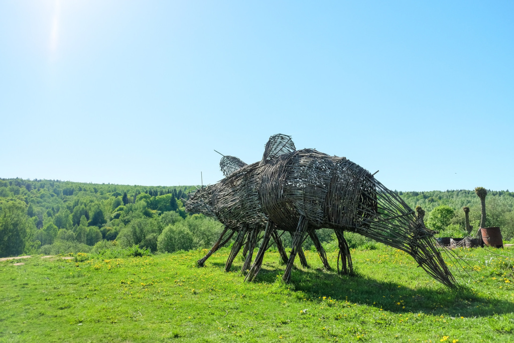 никола ленивец.jpeg