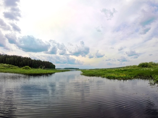 верхняя Пра лайт.jpg